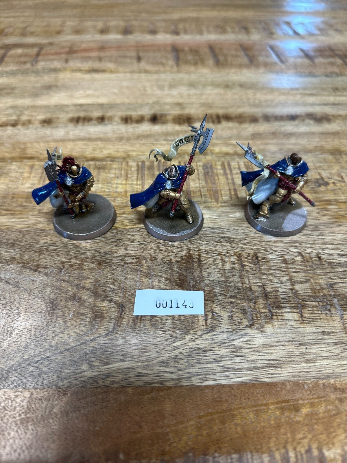 Warhammer Age of Sigmar Praetors Stormcast Eternals Painted 1149