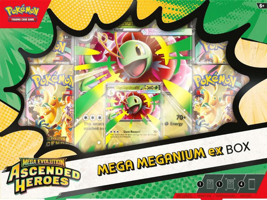 Ascended Heroes ex Box - ME: Ascended Heroes (ASC)
